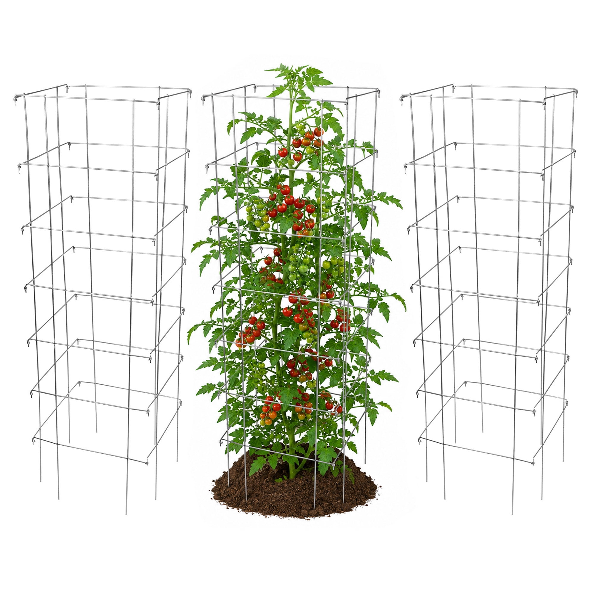 Garden Elements Square 8-Leg Heavy-Duty Collapsible Tomato Cages, 58in H (Pack of 3)