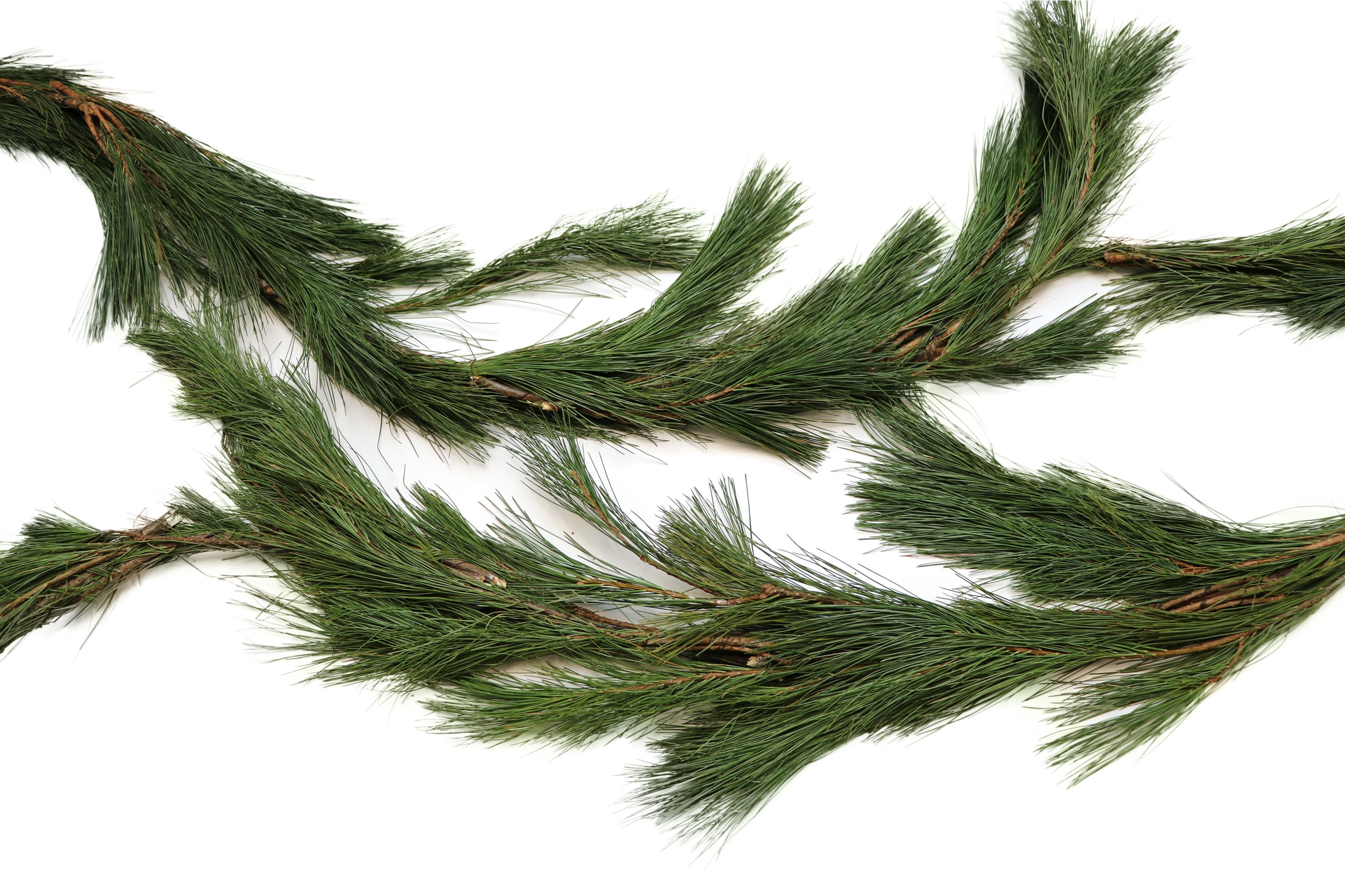Garden Elements Fresh Live Christmas Holiday Decorative Greens Rope ...
