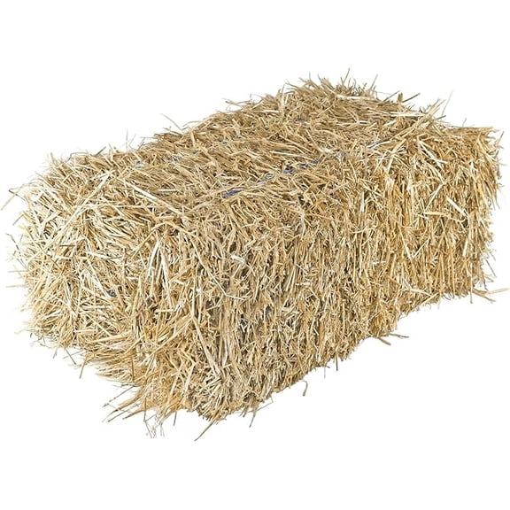 Garden Elements Straw Bale by Shady Creek Farm, Multi-Use for Farm & Home, Medium Wheat Straw Bale, 22 inch
