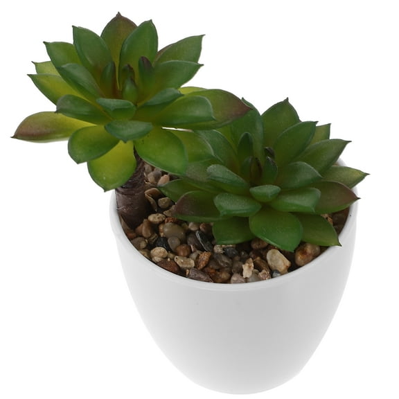 FOMIYES Artificial Succulents Decorative Faux Plants for Desktop Bookshelf and Windowsill Tiny Accents for Office and Kitchen