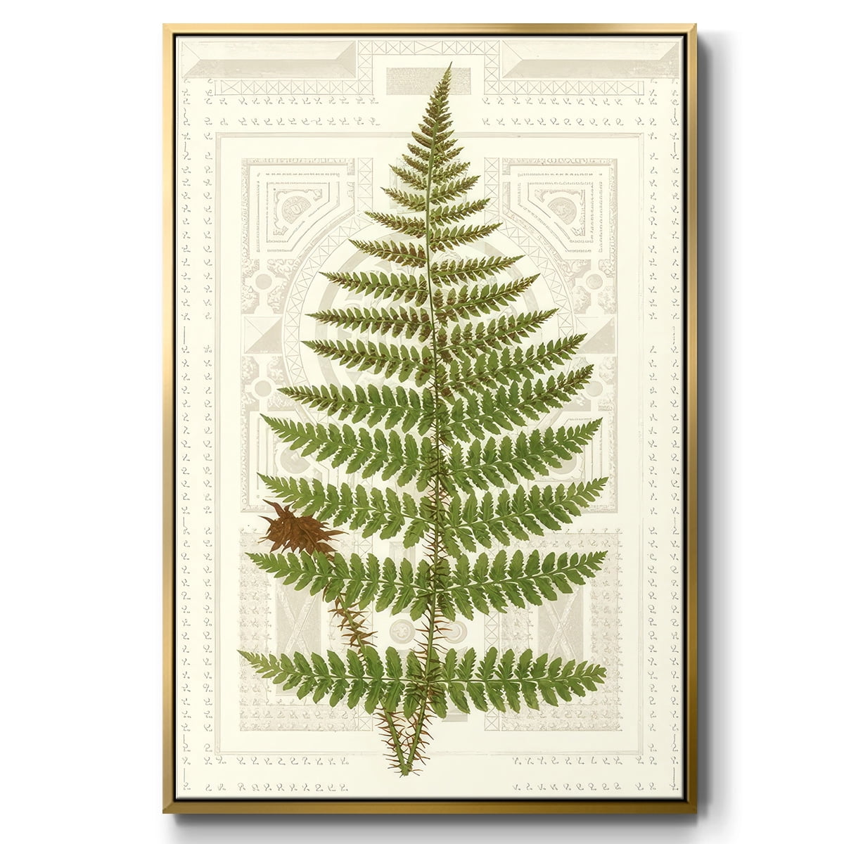 Garden Ferns V - Framed Gallery Wrapped Holiday Canvas - 17 x 25 - Gold Frame