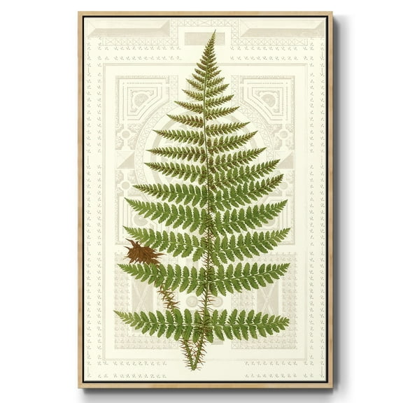Garden Ferns V - Framed Gallery Wrapped Holiday Canvas - 17 x 25 - Natural Wood Frame