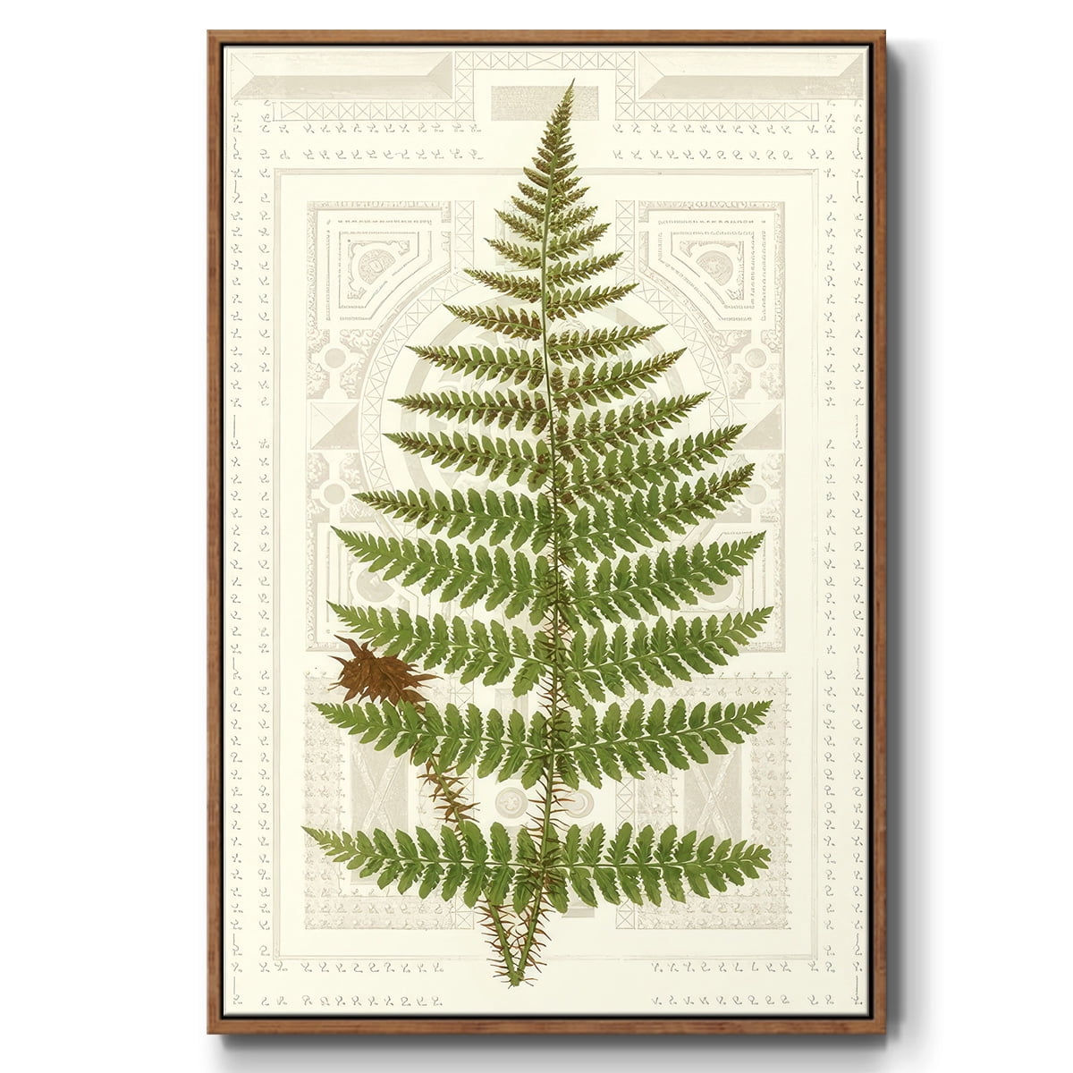 Garden Ferns V - Framed Gallery Wrapped Holiday Canvas - 25 x 37 - Rosewood Frame