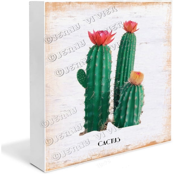 Garden Flower Cactus Decor Cactus Gifts Wood Box Signs Floral Decor Summer Decorations for Home Office Desk Decor for Tabletop Bookshelf Centerpiece Office 5"x5"