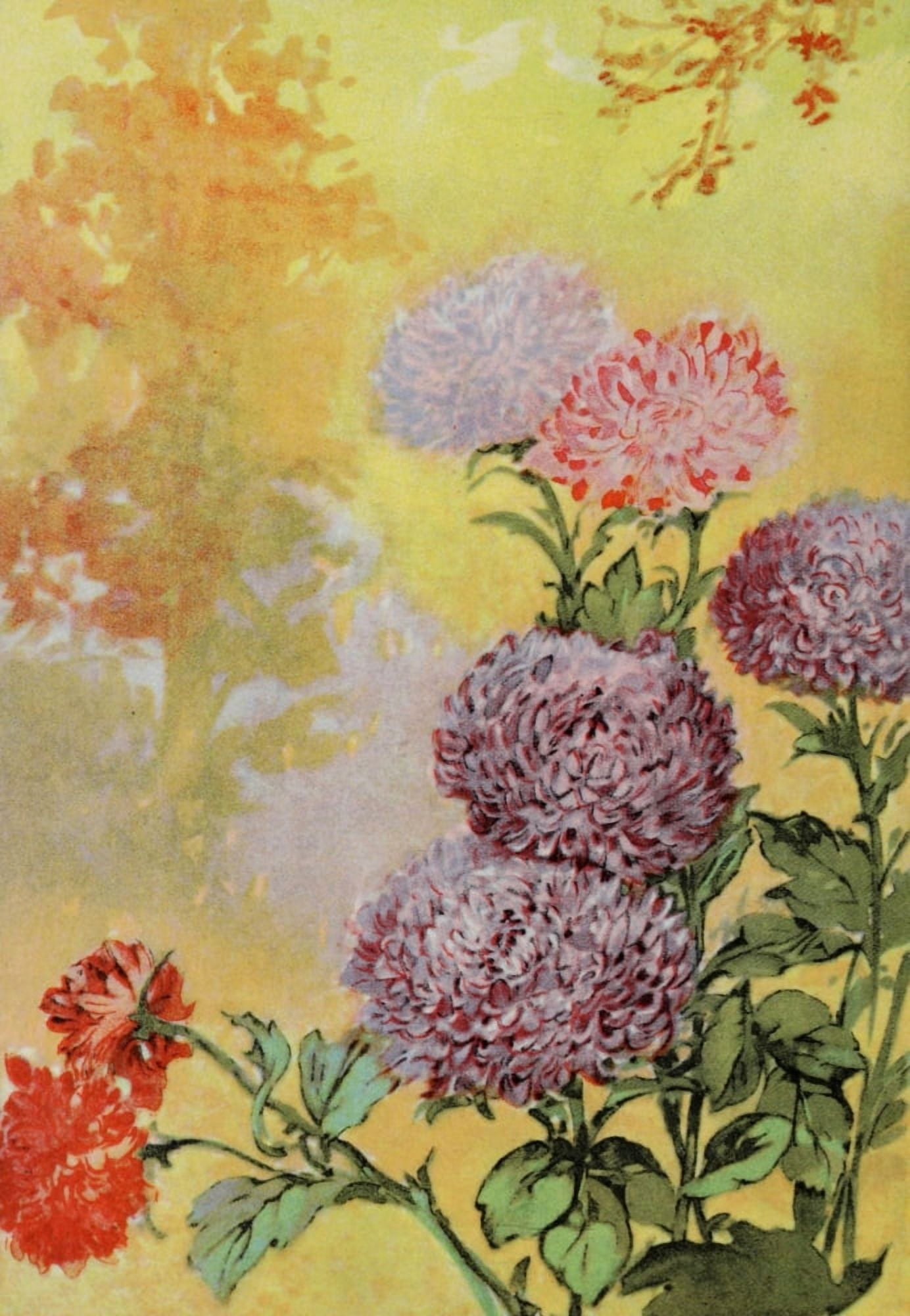 Garden Flowers 1926 Aster Canvas Art - Myron Van Brunt (18 x 24)