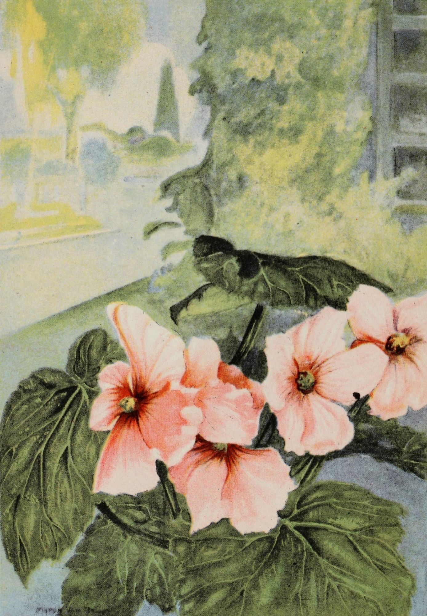 Garden Flowers 1926 Begonia Canvas Art - Myron Van Brunt (18 x 24)
