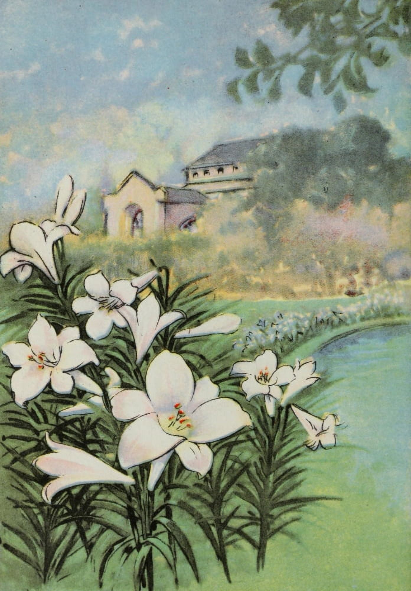 Garden Flowers 1926 Easter Lily Canvas Art - Myron Van Brunt (18 x 24)