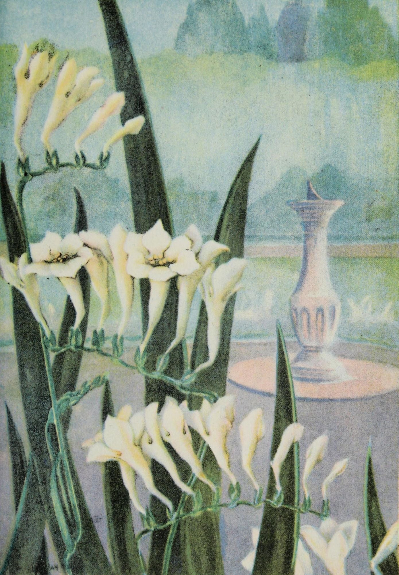 Garden Flowers 1926 Freesia Canvas Art - Myron Van Brunt (24 x 36)
