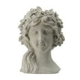 thumbnail image 1 of A&B Home Garden Goddess Outdoor Planter - Gray Finish, 1 of 5