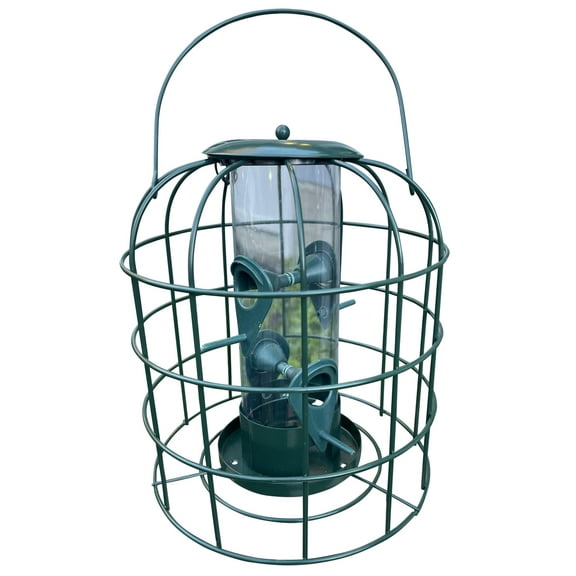 Garden Guru Squirrel Proof Bird Feeder – Outdoor Caged Tube Hanging Bird Feeder with 4 Perches for Small Wild Birds – Premium Coated Steel & Metal Seed Guard - Chew Proof, Weather Resistant