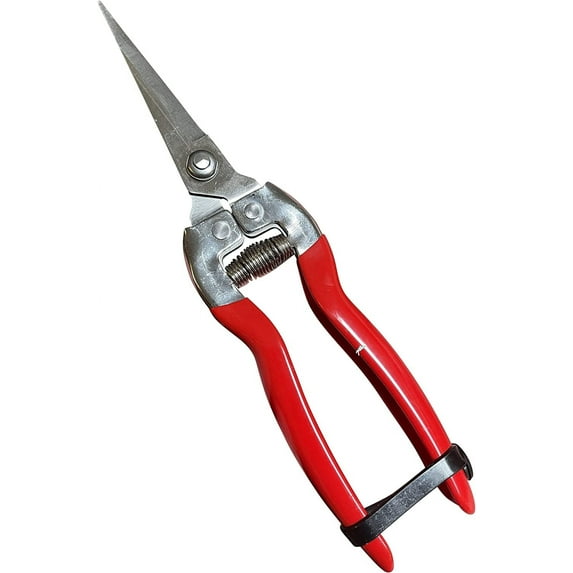 GARDEN GURU Straight Stainless Steel Pruner Pruning Shears Clippers Snips Sharp Bonsai Cutter Plant Trimming Scissor Straight Blade Garden Scissors Tool -Great for Roses Flowers Herbs Fruits