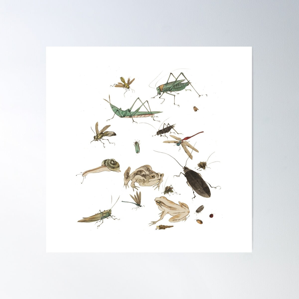 Garden Insects Cute Boho Design For Gardeners Poster Wall Art, Modern ...