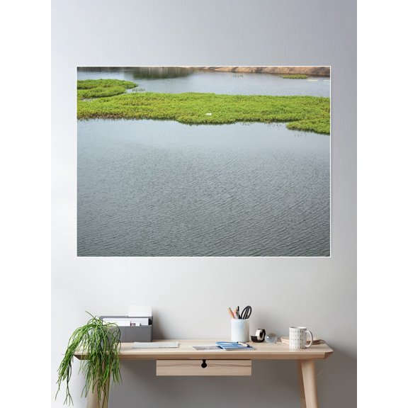 Garden Inside The Lake Poster Wall Art, Modern Wall Decor For Living Room Bedroom, 8x12 UNFRAMED