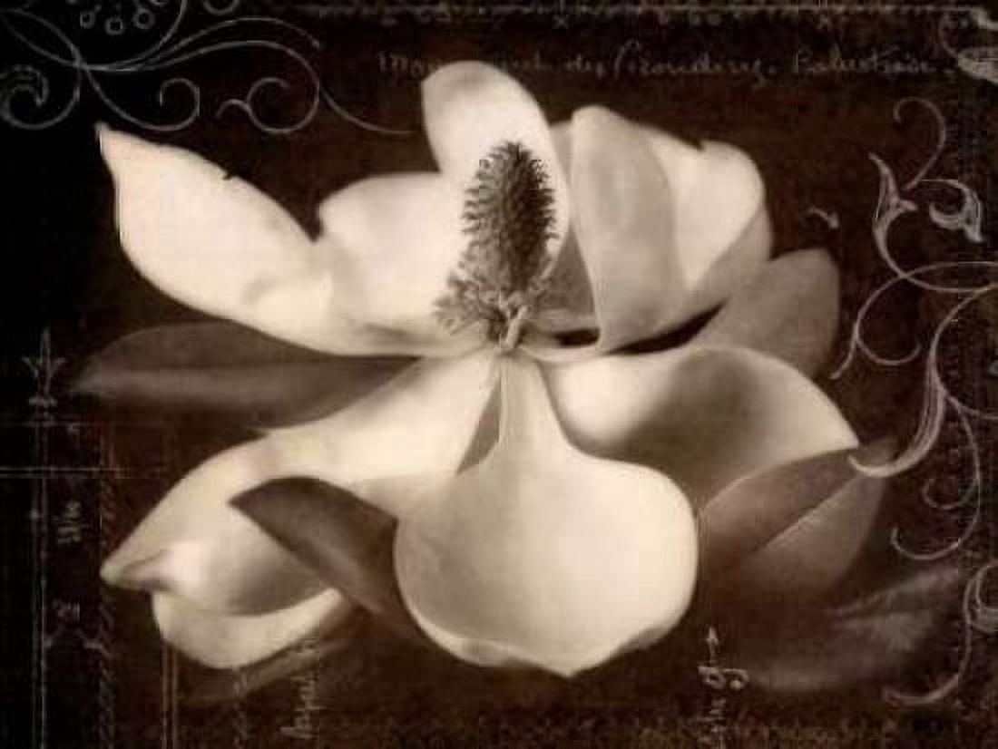 Garden Journal I Canvas Art - Amy Melious (18 x 24)