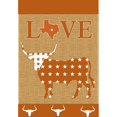 thumbnail image 1 of Garden, Love Longhorns, 1 of 3