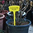 thumbnail image 1 of Garden Markers Waterproof, Outdoor Large Plant Id Tags Tall Plant Labels, for Vegetables Herb Seed Garden Pot Flower, 20pcs Yellow, 1 of 5
