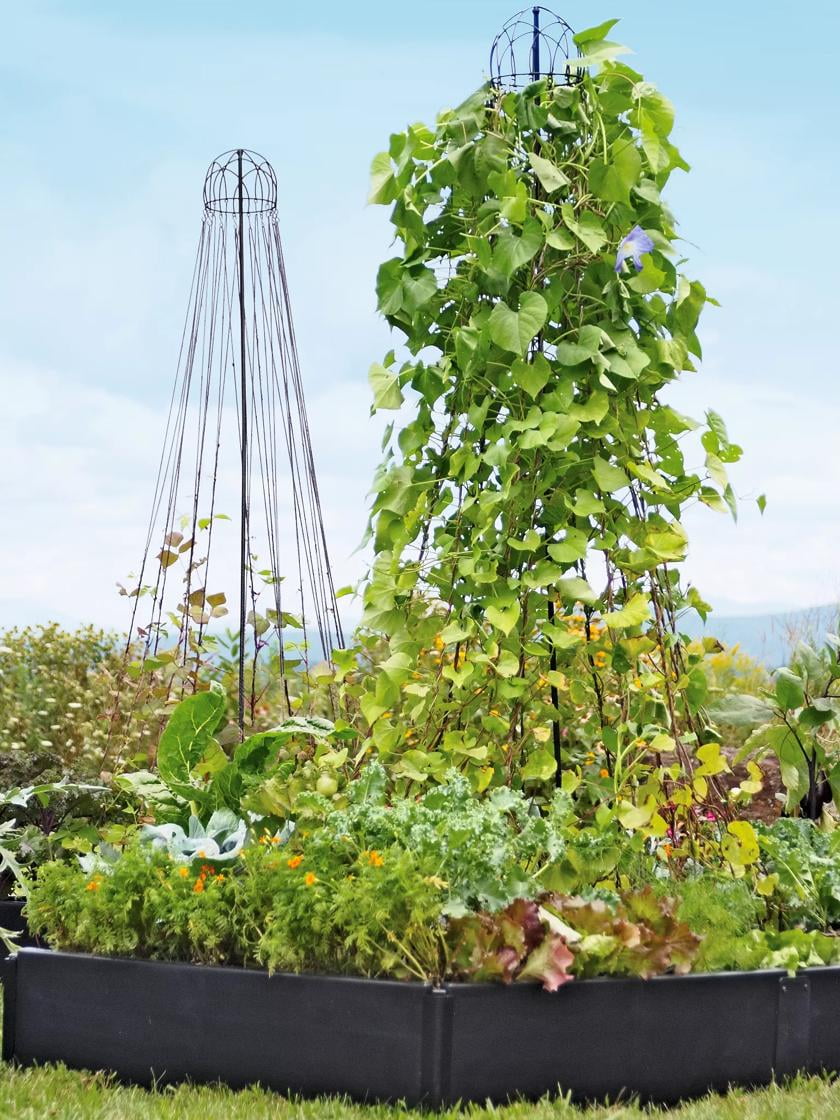 83" Black Steel Garden Maypole Plant Support