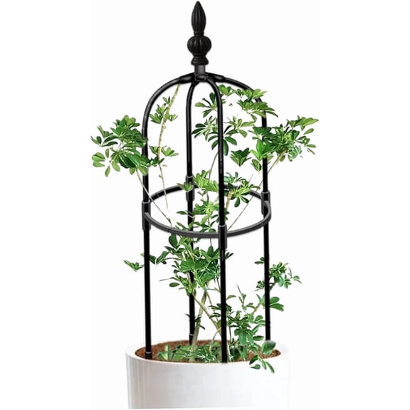 Garden Obelisk Trellis 3ft Tall Round Rustproof Plant Climbing Support Easy To Assemble For Pots Indoor Climbing Plants (Black)