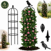 Garden Obelisk Trellis for Climbing Plants Outdoor 6 Ft Rose Bush Round Trellis for Pots Rustproof Metal Plant Flower Trellises for Clematis Vine Jasmine Support Outdoor Indoor