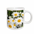 thumbnail image 1 of 3drose, Garden of Daisies Flowers Floral Photography, 11oz Mug, 1 of 6