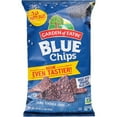 Garden Of Eatin Salted Blue Corn Tortilla Chips Party Size 16 oz Pack