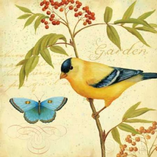 Garden Passion II Canvas Art - Daphne Brissonnet (24 x 24)