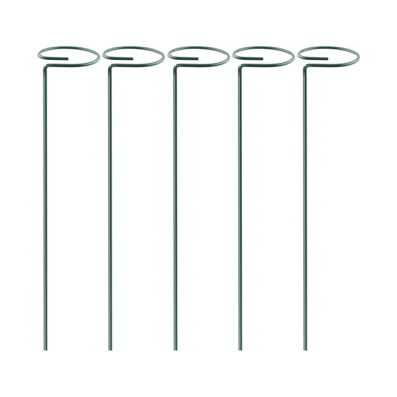 Garden Plant Bracket, Climbing Iron Support Metal Circular Trellis Indoor Outdoor Garden Decor