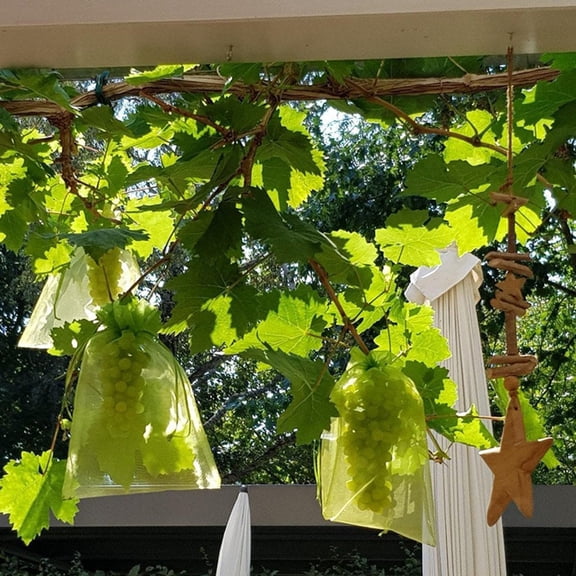 Garden Plant Fruit Protect Drawstring Net Bag Mesh Against Bird 7X9Cm 50Pcs Smile Home