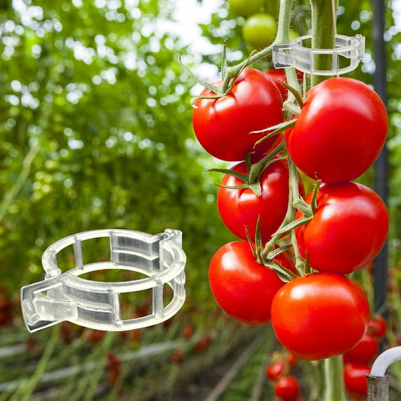 Garden Plant Support Clips, Tomato Clips, Plant Ties, Trellis Clips, For Tomato Cucumber Flower Squash Vine/100 PCS/Green