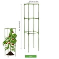 thumbnail image 1 of Garden Plant Support Stakes Fiberglass 4-Corner Trellis Frame Tomato Cage Cucumber Climbing Rattan Stand Weather Resistant Outdoor Gardening Rods, 1 of 1