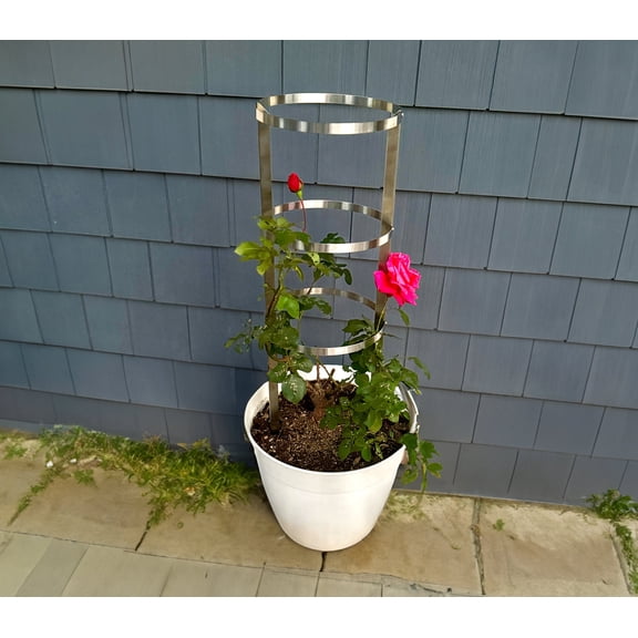 Garden Plant Trellis - Brushed Grade 304 Stainless Steel 10in Diameter, 36in High 3-Hoop Ring Cylindrical Climbing Support Structure