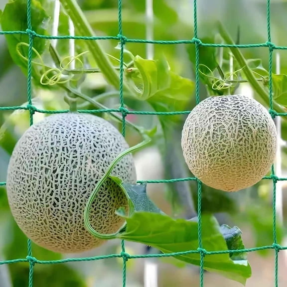 Garden Plant Trellis Netting,Heavy-duty 2.95 x 5.9 ft Trellis Net Polyester Trellis Netting Garden Square Mesh for Climbing Plants Fruits Vegetables VinesGrow Tents(1Pack)