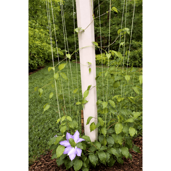 Garden Plant Trellis Rope Vertical Vine Guide Line System Coated Galvanized Wire (180in, Cable Only)