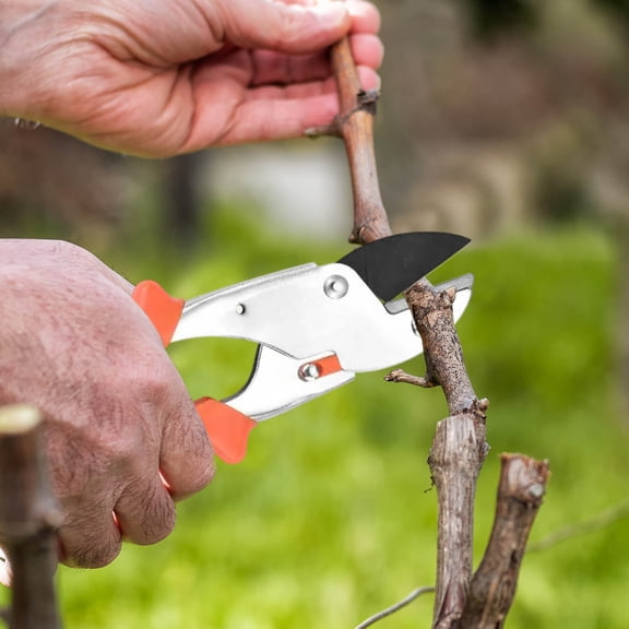 Garden Pruner Pruning Shears Garden, Fruit Tree Pruning Yard Work Tools, Branch Clippers Small Garden Shears, Yard Hand Tools Steel Pruning Shears(1PC)