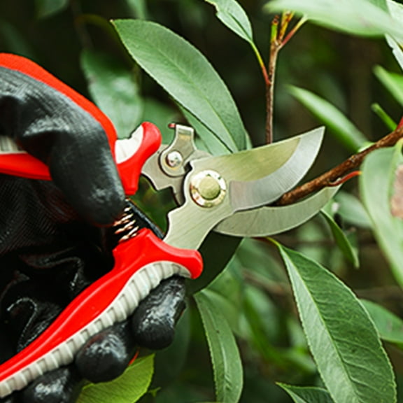 Garden Pruning Shears, 7.5" Hand Gardening Cutter, Professional Garden Scissors with Straight Stainless-Steel Blade, Ultra Sharp Clippers Scissors for Trimming, Fruits, Flowers, Plants / PMS-1000