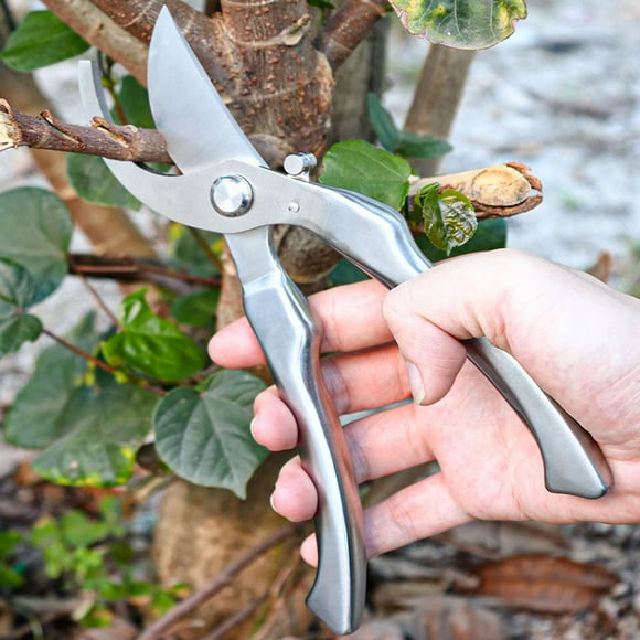 Garden Pruning Shears | Stainless Steel Blades | Handheld Bypass Pruners | Non-Slip Ergonomic Handle | Rust-Resistant | 8.46 Inch Size | Gray | Ideal for Flowers Herbs & Bonsai