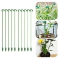 Garden Pruning Tools Set 2024 Gardening Bonsai Phalaenopsis Stand Tall