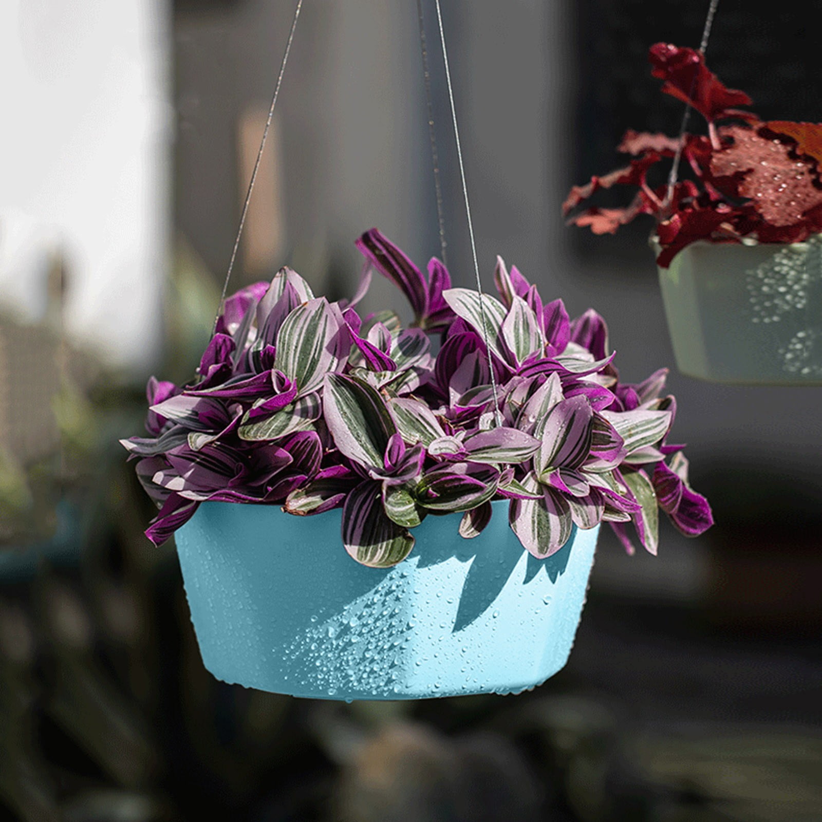 Garden Pruning Tools Set 2024 Self Absorbent Lazy Pot Hanging Basket