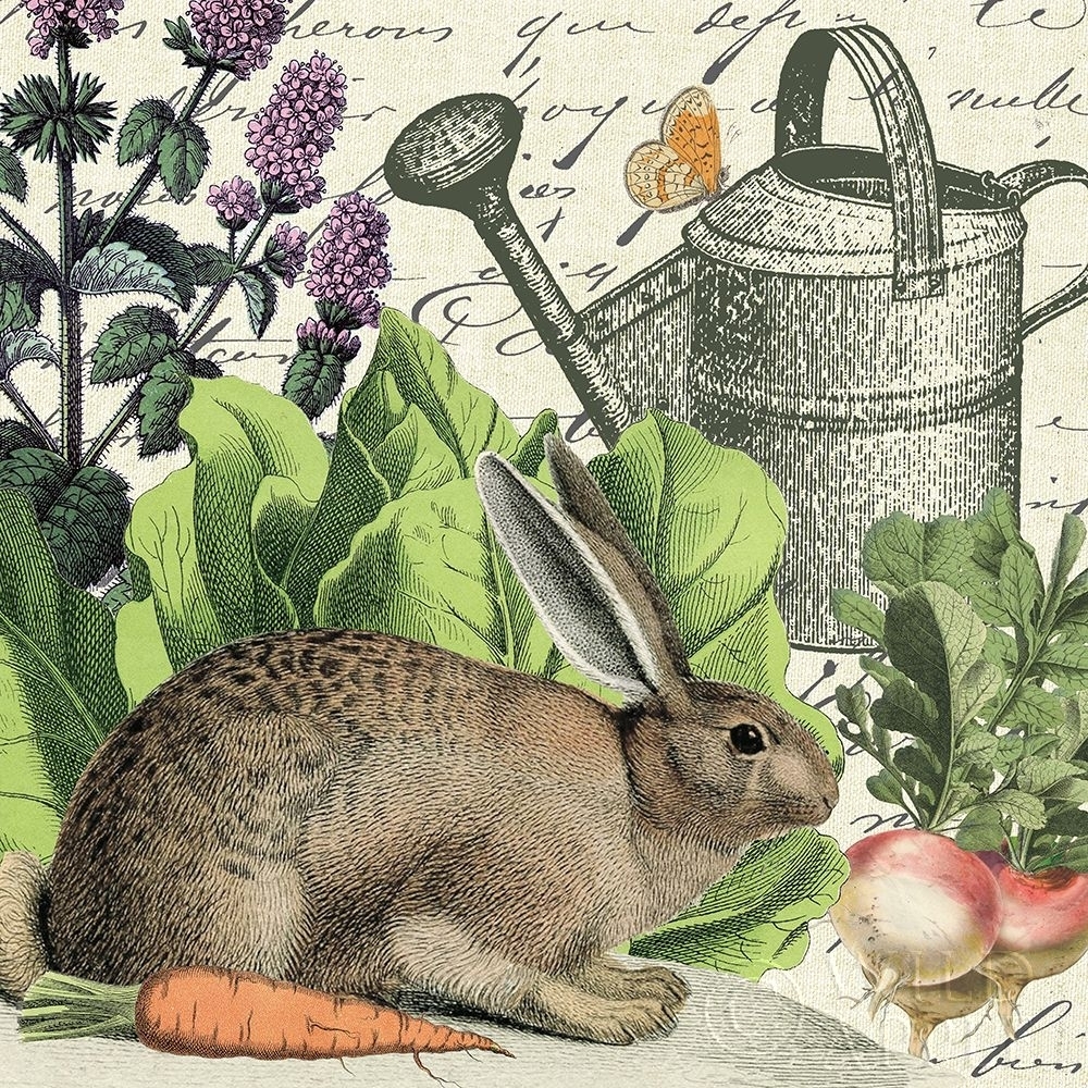 Garden Rabbit I Poster Print by Wild Portfolio - Walmart.com
