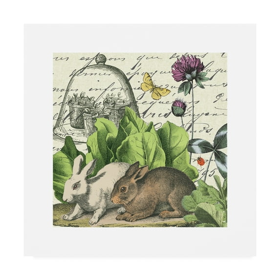 Garden Rabbit II' Canvas Art by Wild Apple Portfolio