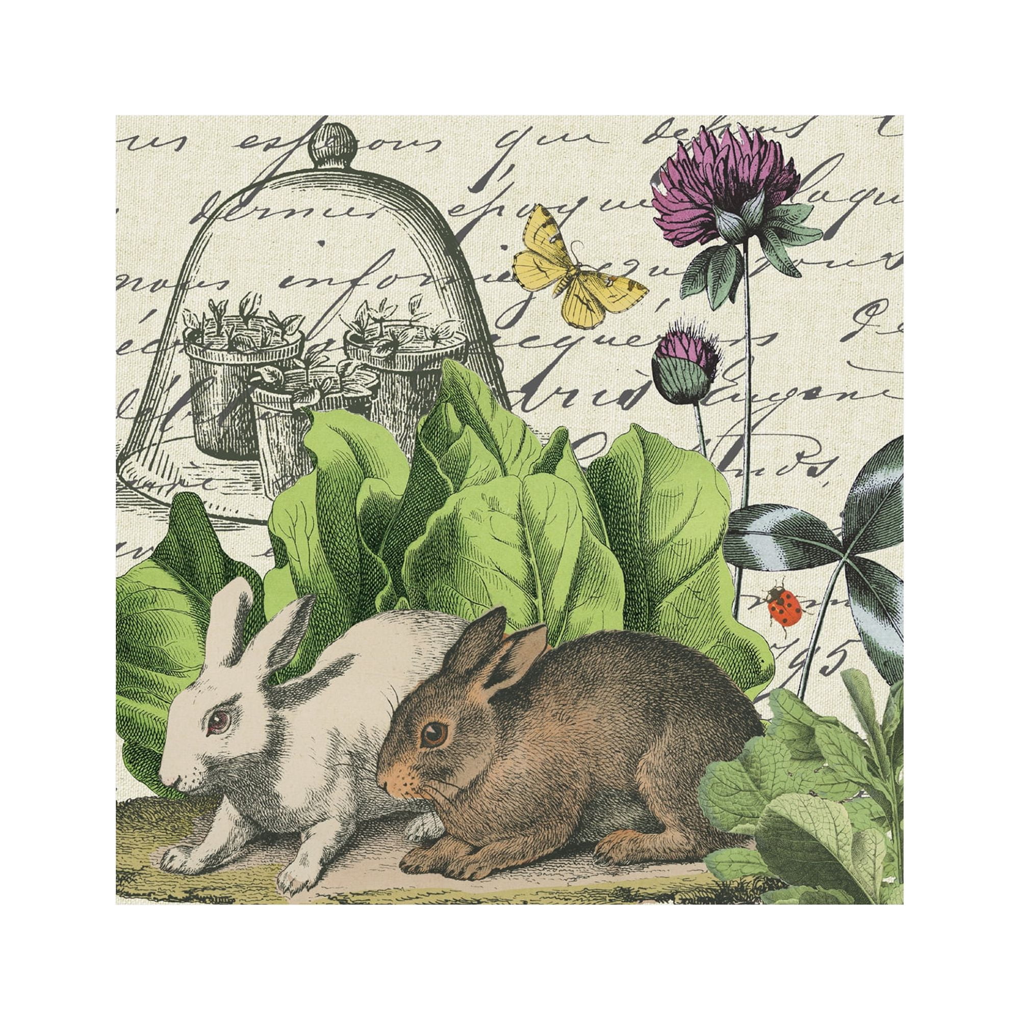 Garden Rabbit II' Canvas Art by Wild Apple Portfolio