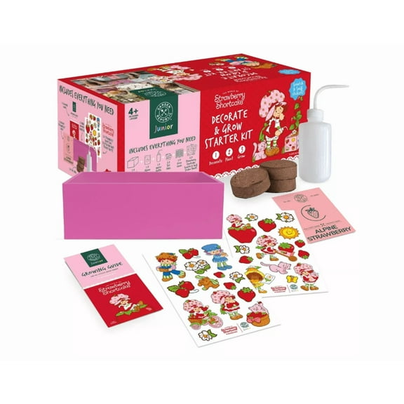 Garden Republic Jr. Strawberry Shortcake Decorate and Grow Starter Kit