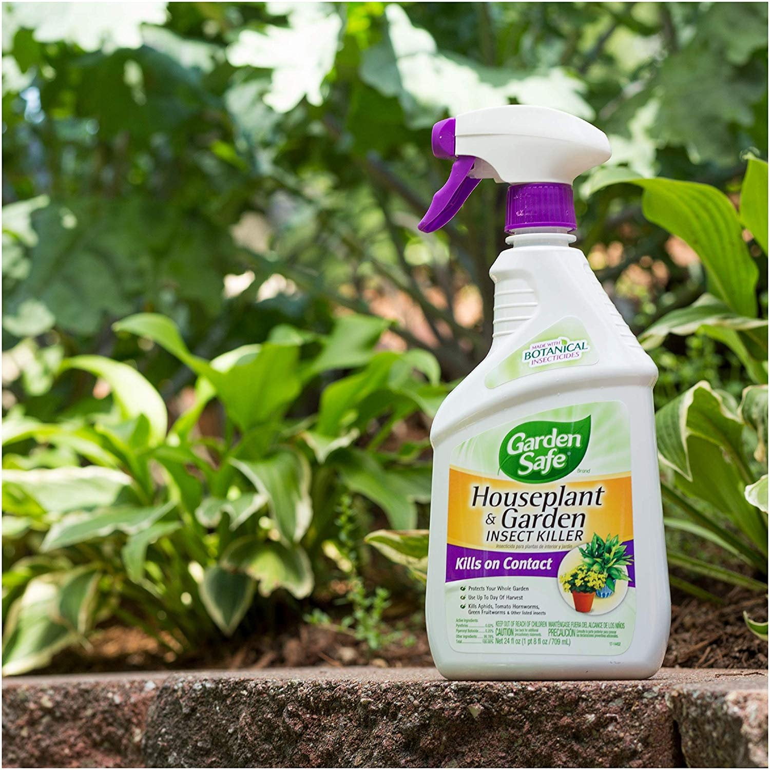 Central Coast Garden Products Green Cleaner Concentrate Insecticides &  Pesticides Insect & Disease Control Garden Care