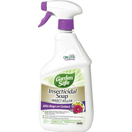 Garden Safe Insecticidal Soap Insect Killer Ready-to-Use, 24 Oz