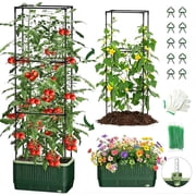 51" Self Watering Planter Box with Trellis, Tomato Cage with Water Level Indicator, Indoor Outdoor Raised Garden Bed