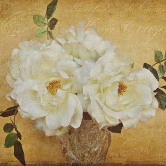 Garden Sentiments Canvas Art - Cristin Atria (24 x 24)