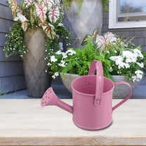 Garden Small Water Spraying Pot Flower Kettle Metal Watering Can Sprinkled Pink Smile Home