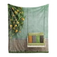 thumbnail image 1 of Garden Soft Flannel Fleece Throw Blanket, Vintage Wooden Swing in the Old House a Lemon Tree Summertime Theme, Cozy Plush for Indoor and Outdoor Use, 70" x 90", Yellow Green, by Ambesonne, 1 of 5