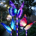 thumbnail image 1 of Garden Solar Lights Outdoor, 3 Pack Solar Stake Lights Multi-Color Changing LED Butterfly, Fiber Optic Decorative Lights for Yard,, 1 of 9