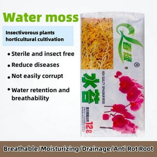 Professional Supply Garden Potted Orchid Moisturizing Sphagnum Moss - China Sphagnum  Moss and Moss price